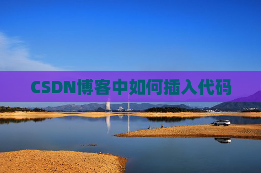 CSDN博客中如何插入代码